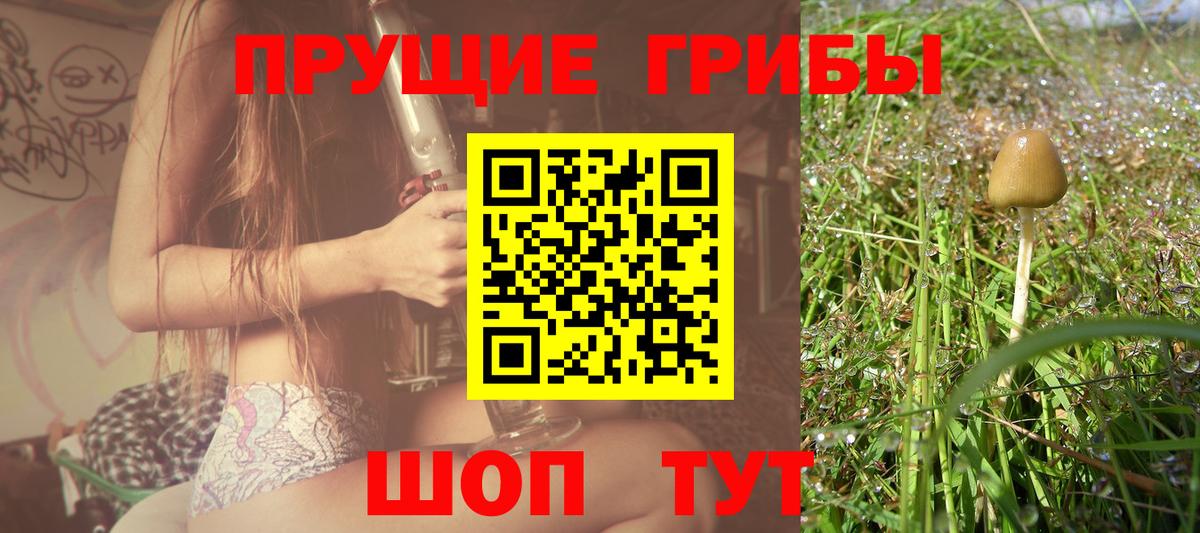 Псилоцибиновые грибы мухоморы Свободный