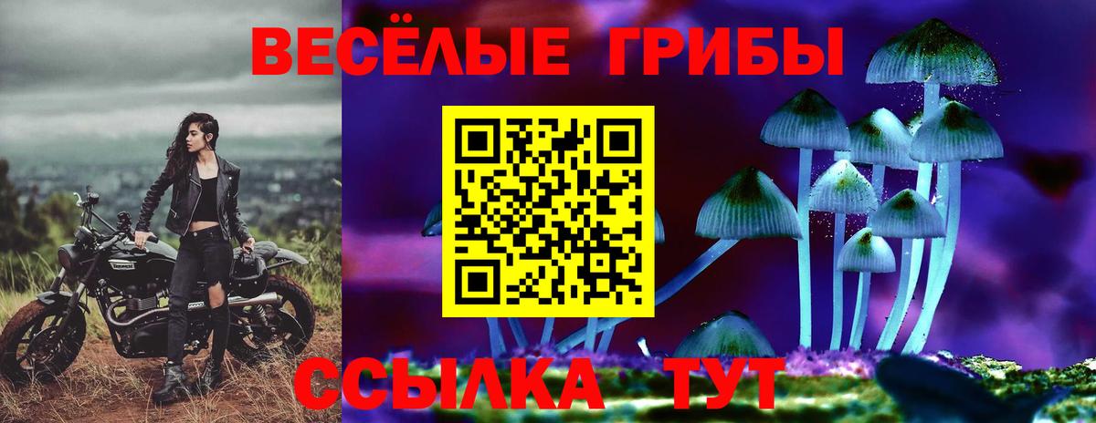 Псилоцибиновые грибы GOLDEN TEACHER  Вход с VPN  Свободный 