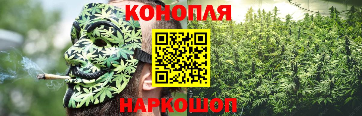 Каннабис OG Kush  Конопля план  Вход с VPN  Каннабис THC 21%  Свободный 